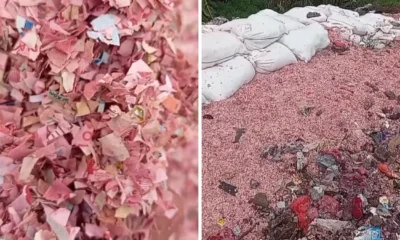 Viral! Cacahan Uang Kertas Rupiah Ditemukan di Tempat Pembuangan Sampah Bekasi