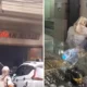 Viral! Emak emak di Makassar Ngamuk Lempar Molotov ke Toko Emas