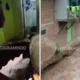 Viral! Ibu di Bandung Diduga Hilang usai Lantai Rumah Jebol ke Sungai Cijagra