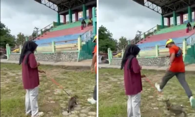 Viral! Pria Tendang Kucing hingga Mati di Blora