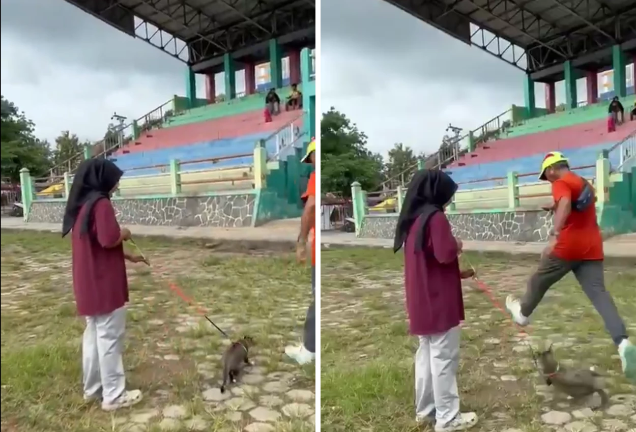 Viral! Pria Tendang Kucing hingga Mati di Blora
