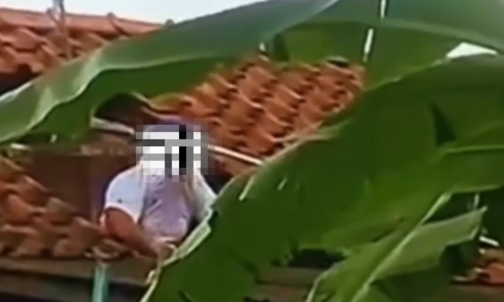 Viral! Pria di Cilacap Tewas usai Diserang Tawon Vespa saat Bersihkan Toren Air