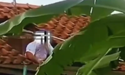 Viral! Pria di Cilacap Tewas usai Diserang Tawon Vespa saat Bersihkan Toren Air