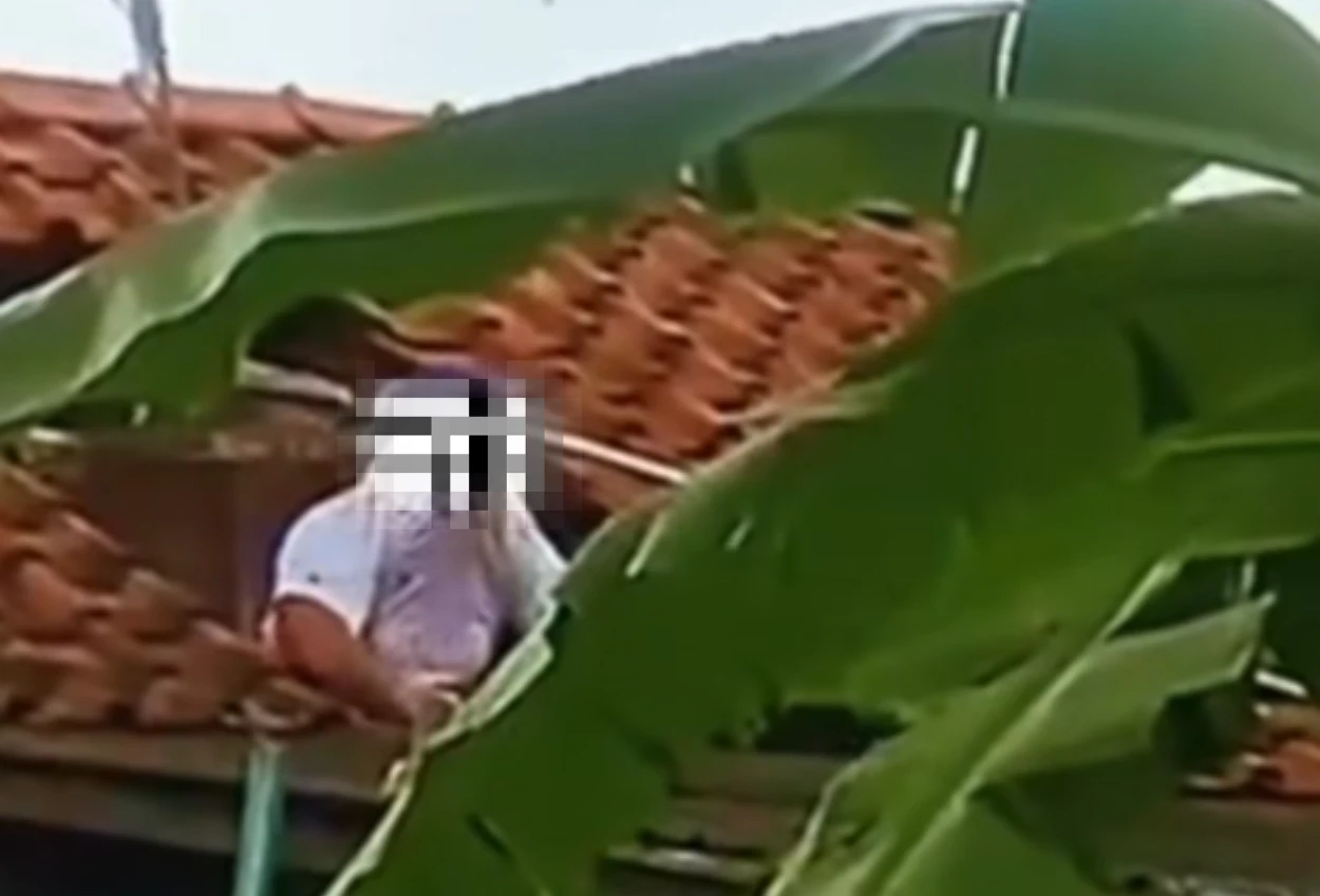 Viral! Pria di Cilacap Tewas usai Diserang Tawon Vespa saat Bersihkan Toren Air
