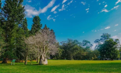 10 Rekomendasi Wisata di Bogor, Cocok Dikunjungi saat Libur Lebaran bersama Keluarga