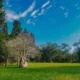 10 Rekomendasi Wisata di Bogor, Cocok Dikunjungi saat Libur Lebaran bersama Keluarga