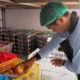BGN Setop Sementara 47 SPPG akibat Menu MBG yang Tak Layak