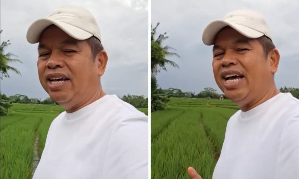 Dedi Mulyadi Umumkan Bayar Pajak Kendaraan di Depok dan Bekasi Tak Wajib Bawa BPKB Lagi