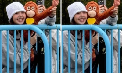 Lisa BLACKPINK Kunjungi Punch, Bayi Monyet Viral di Kebun Binatang Jepang sambil Bawa Boneka Orang Utan