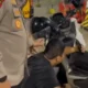 Nyesek! Pemudik Ini Nangis Sesegukan usai Dapat Kabar sang Ibu Meninggal