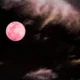 Pink Moon di Langit Jakarta 1 April 2026, Ini Cara Mengamatinya