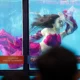 Antusiasme di DXI 2026 Membludak, Penampilan Mermaid Curi Perhatian Pengunjung
