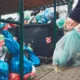 Danantara Banyak Rakyat Indonesia Tak Mampu Bayar Iuran Sampah