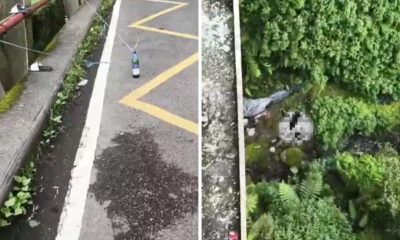 Jembatan Cangar Makan Korban Lagi, Mayat Pria Ditemukan di Dasar Jurang