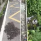 Jembatan Cangar Makan Korban Lagi, Mayat Pria Ditemukan di Dasar Jurang
