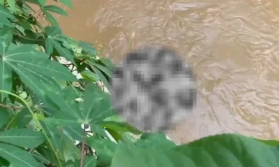 Mayat Pria Tanpa Identitas Ditemukan di Kali Ciliwung Jagakarsa (1)