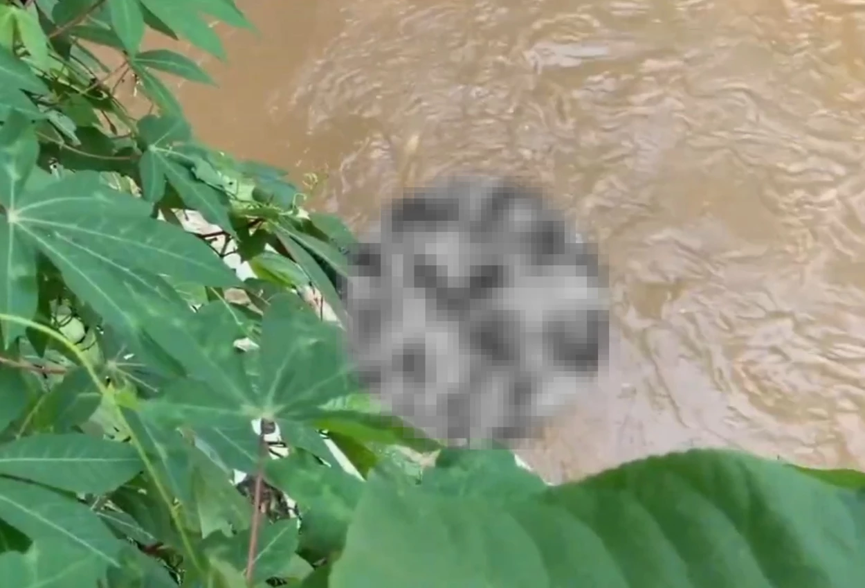 Mayat Pria Tanpa Identitas Ditemukan di Kali Ciliwung Jagakarsa (1)