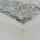Mengenal Black Mold si Noda Hitam pada Dinding Penyebab dan Cara Mengatasinya