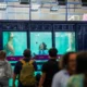 Pecinta Diving Merapat! DXI 2026 Siap Digelar 23 26 April