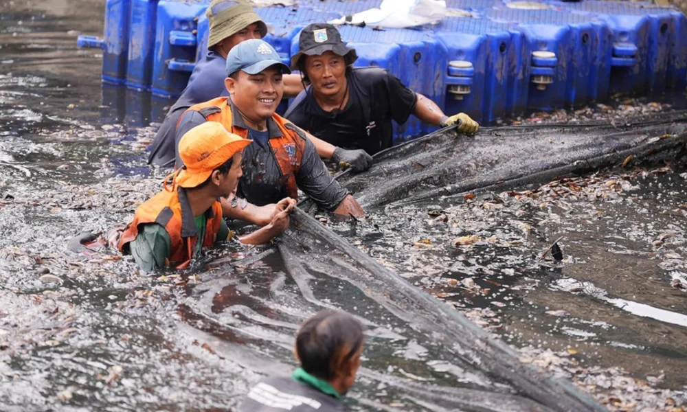 Penangkapan Ikan Sapu sapu di 5 Wilayah Jakarta Tembus 6,9 Ton