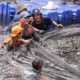 Penangkapan Ikan Sapu sapu di 5 Wilayah Jakarta Tembus 6,9 Ton