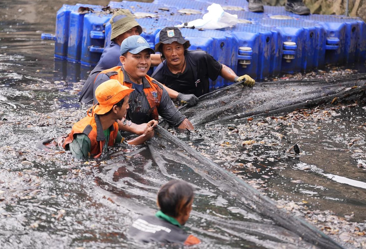 Penangkapan Ikan Sapu sapu di 5 Wilayah Jakarta Tembus 6,9 Ton