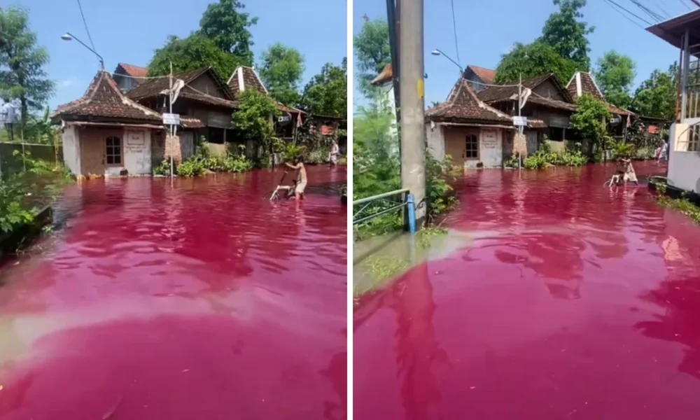 Viral! Banjir di Solo Berwarna Merah, Apa Penyebabnya