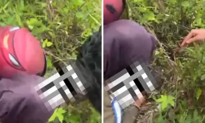 Viral! Bayi Perempuan Ditemukan di Semak Belukar Sumsel