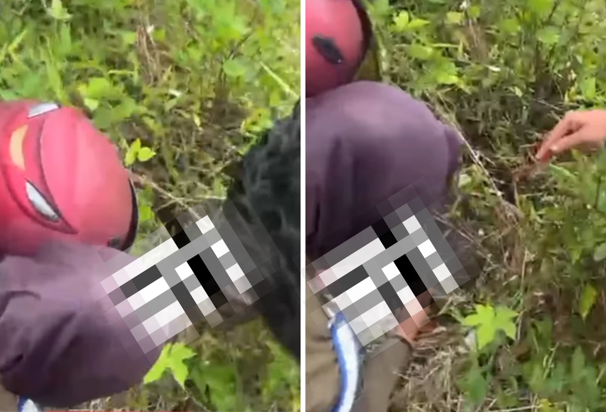 Viral! Bayi Perempuan Ditemukan di Semak Belukar Sumsel