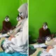 Viral! Wanita di Malang Syok saat Malam Pertama Ternyata Suaminya Bukan Laki Laki