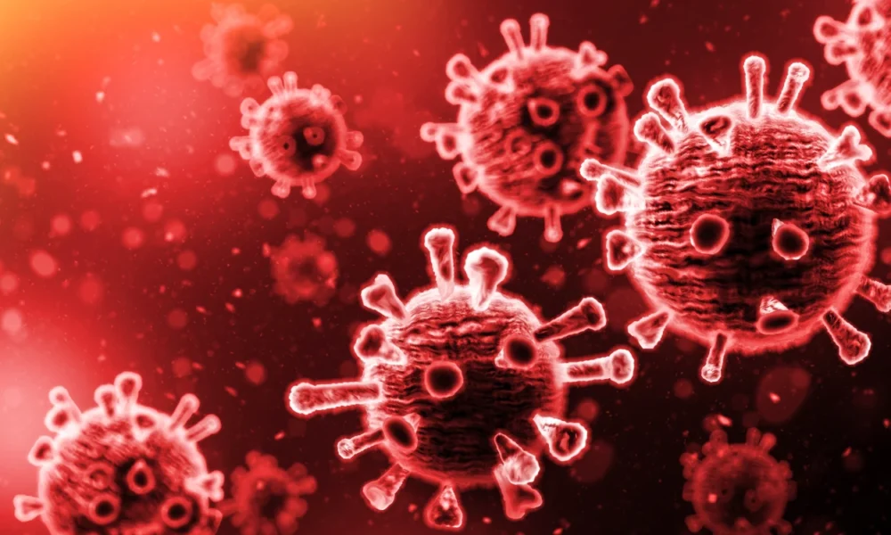 10+ Cara Mencegah Hantavirus yang Wajib Kamu Tau
