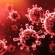 10+ Cara Mencegah Hantavirus yang Wajib Kamu Tau