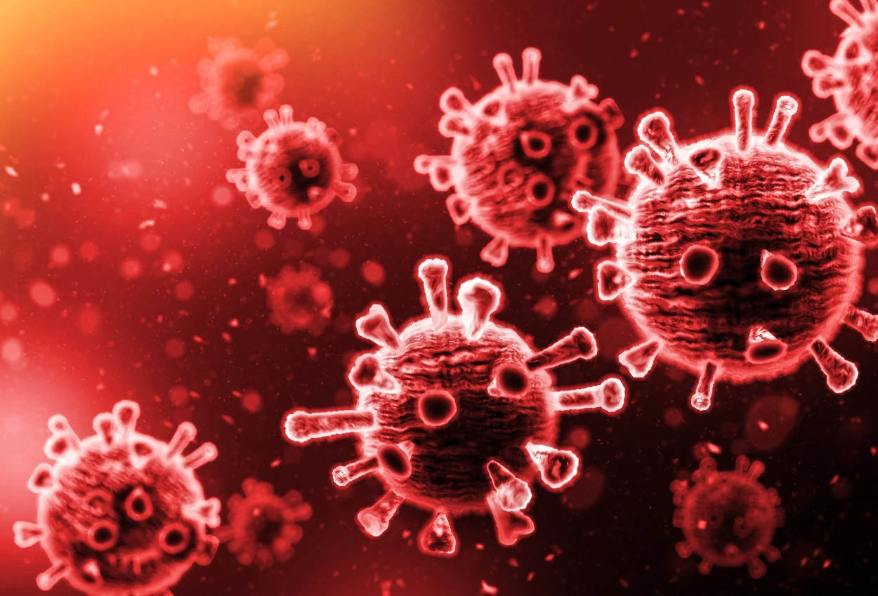 10+ Cara Mencegah Hantavirus yang Wajib Kamu Tau