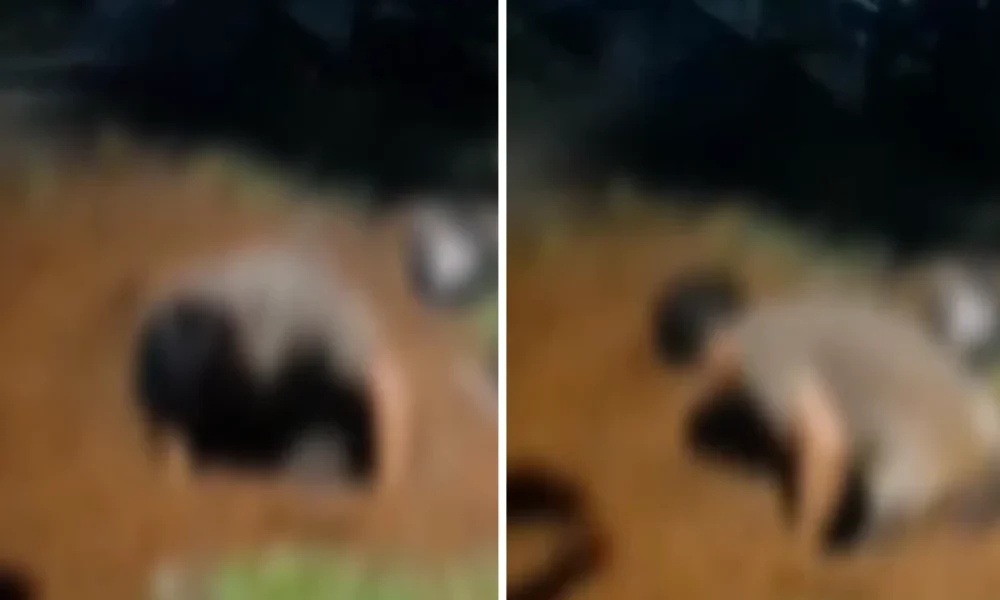 Anak di Tangsel Nekat Bongkar Makam Ibu, Ini Penyebabnya