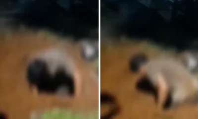 Anak di Tangsel Nekat Bongkar Makam Ibu, Ini Penyebabnya