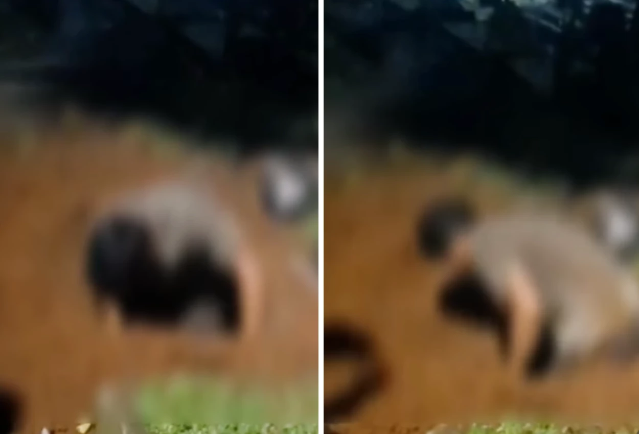 Anak di Tangsel Nekat Bongkar Makam Ibu, Ini Penyebabnya
