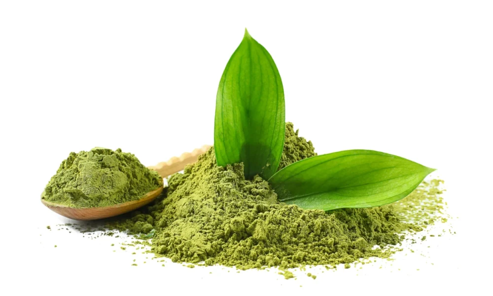 Apa Bedanya Matcha dan Green Tea