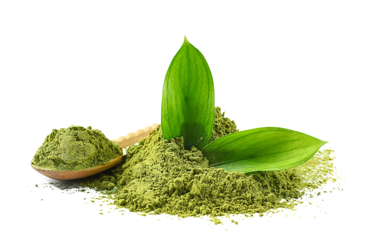 Apa Bedanya Matcha dan Green Tea