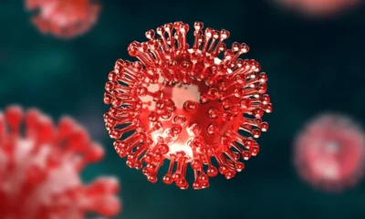 Apa Itu Hantavirus Kenali Gejala, Penyebab, dan Cara Pengobatannya