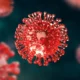 Apa Itu Hantavirus Kenali Gejala, Penyebab, dan Cara Pengobatannya