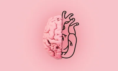 Apa yang Terjadi pada Otak Manusia saat Meninggal