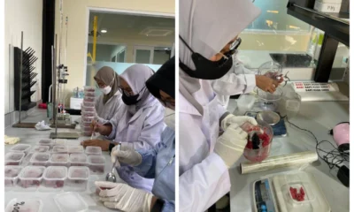 BRIN Kembangkan Teknologi Deteksi Modern untuk Cegah Kecurangan Pangan