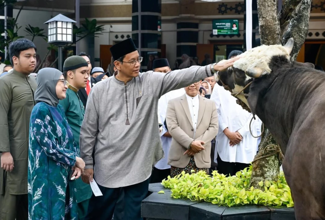 Batal Haji, Purbaya Kurban Sapi Berbobot 868 Kilogram!