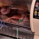 Bayi Orangutan Sumatra Lahir Caesar di Kebun Binatang Singapura