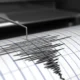 Gempa M 4,6 Guncang Pangandaran, Getara Terasa hingga Garut