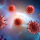 Kemenkes Ungkap 2 Kasus Suspek Hantavirus di Jakarta dan Yogyakarta Hasilnya Negatif