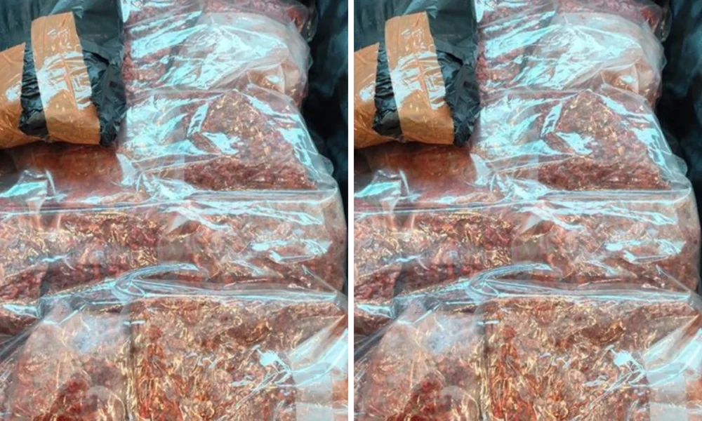Koper Jemaah Haji RI Dicurigai Petugas Saudi, Ternyata Isinya Tempe Orek 5 Kg