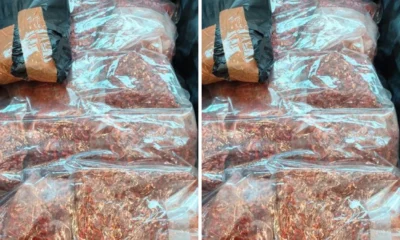 Koper Jemaah Haji RI Dicurigai Petugas Saudi, Ternyata Isinya Tempe Orek 5 Kg