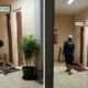 Momen Dramatis Evakuasi King Cobra 4 Meter di Kantor BRIN Tangsel