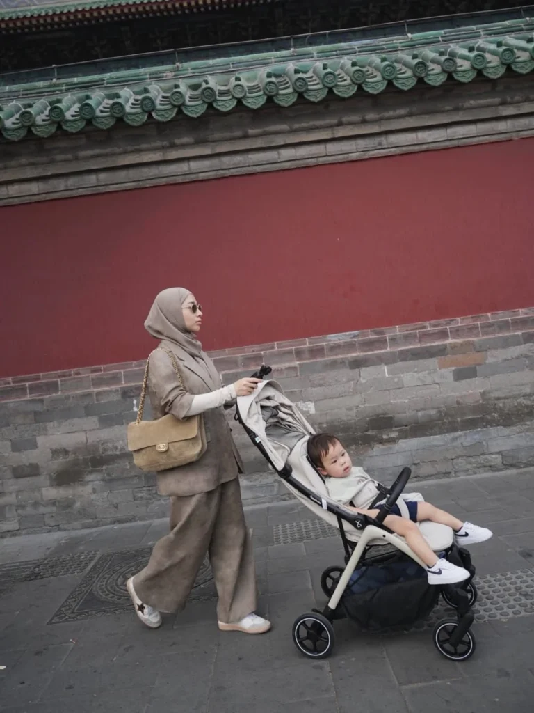 Nikita Willy Mendorong Stroller Issa